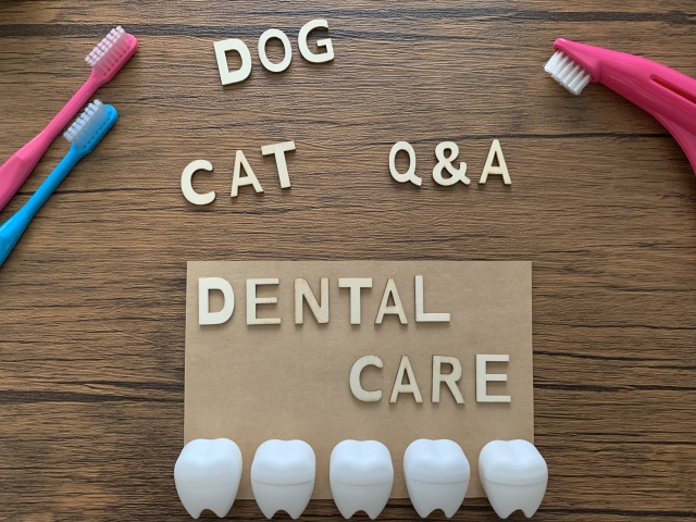 DOG&CAT DENTALCAREの看板
