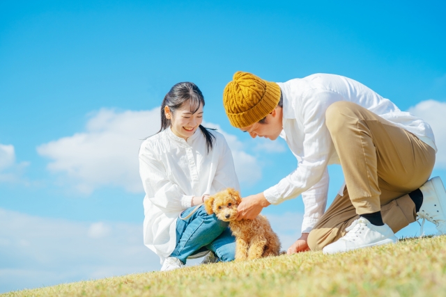 愛犬と遊ぶ男女